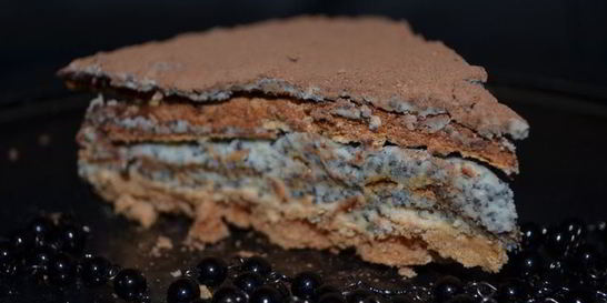 Торт-безе с маково-сливочным кремом