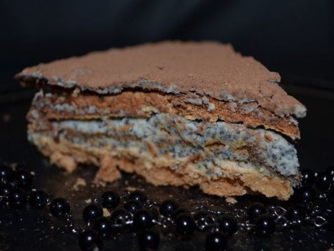 Рецепт торта-безе с маково-сливочным кремом