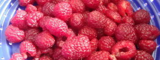 торт-безе с творожно-малиновой начинкой. Шаг 7