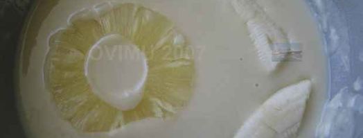 десерт лед и пламя. Шаг 18