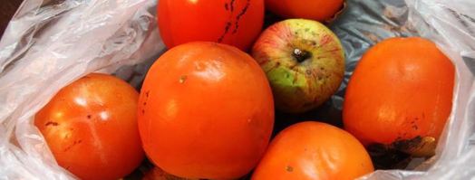 чизкейк халва-хурма. Шаг 5