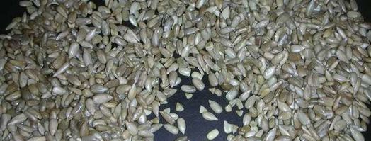 халва домашняя из семечек. Шаг 3