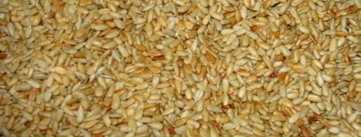 халва домашняя. Шаг 3