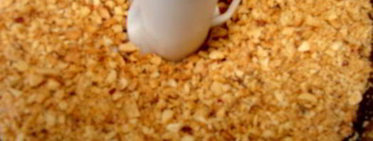 халва домашняя. Шаг 6