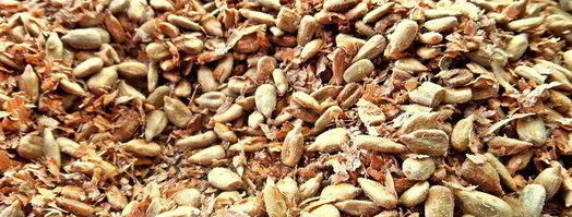 халва шоколадная с отрубями и семечками. Шаг 6