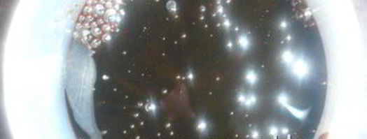 семени халвасы — халва на соке пророщенных зерен пшеницы. Шаг 9