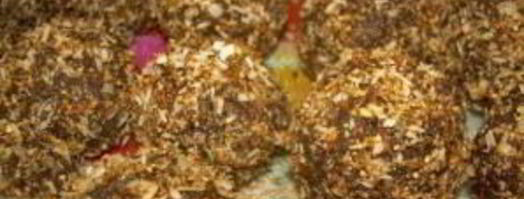 домашние конфеты с арахисом. Шаг 7