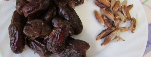 имбирные конфеты с финиками и миндалем. Шаг 3