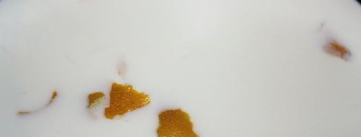 бинье с кремом шантильи, покрытый шоколадным ганашем. Шаг 10