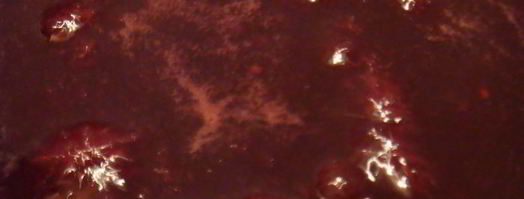 джем-мармелад вишнево-малиновый. Шаг 4