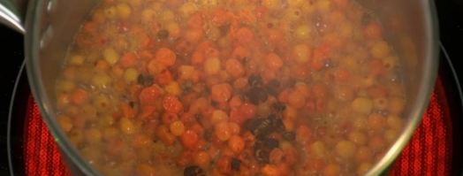 крокодиловый хвост с облепихово-можжевеловым муссом. Шаг 6