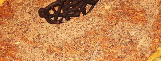 кростата с шоколадным муссом. Шаг 11