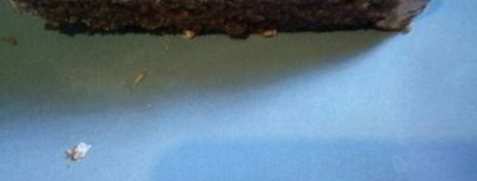 муссовый торт-десерт нежность. Шаг 7