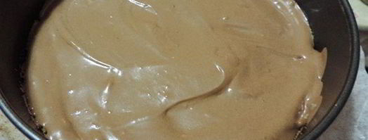 торт-мусс новогодняя фантазия. Шаг 19