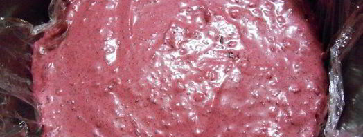 торт-мусс новогодняя фантазия. Шаг 11