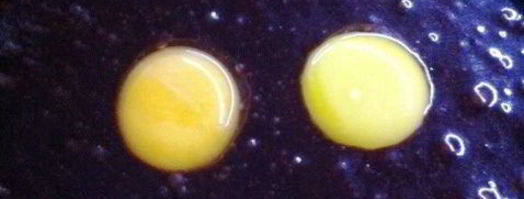 имбирные пасхальные пряники. Шаг 7