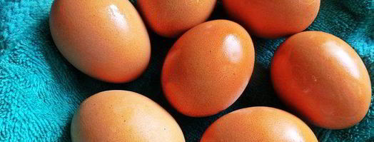 пасха монастырская. Шаг 5