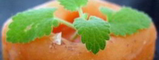 абрикосовый щербет. Шаг 5