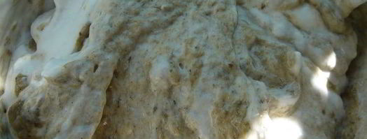 грибное суфле. Шаг 5