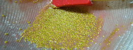 творожное суфле с белым шоколадом и клубникой. Шаг 8