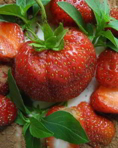 Фантазии на тему Тирамису