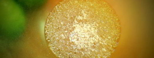 банановый десерт зефирка. Шаг 3