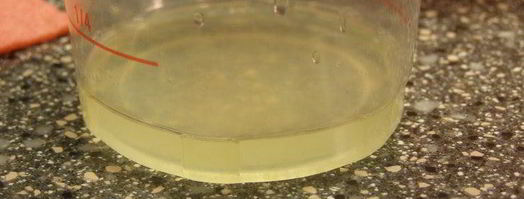 брусничный зефир с малиновым соусом. Шаг 5