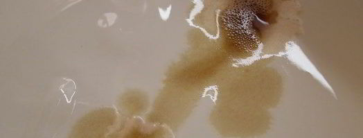 брусничный зефир с малиновым соусом. Шаг 8