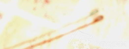 мастика из маршмеллоу и розы. Шаг 11