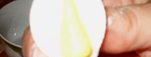 мастика из маршмеллоу и розы. Шаг 14