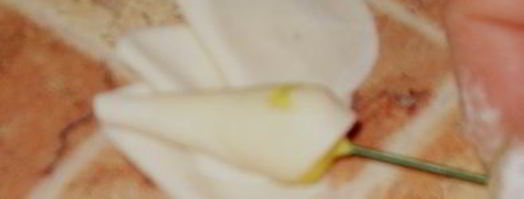 мастика из маршмеллоу и розы. Шаг 17