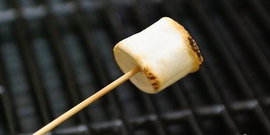 Жареный зефир