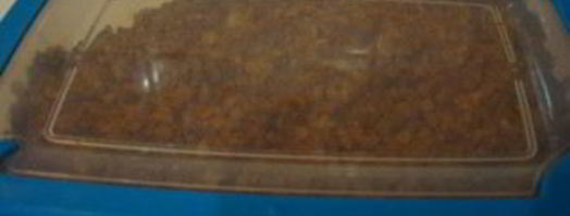 бастурма из индейки. Шаг 4