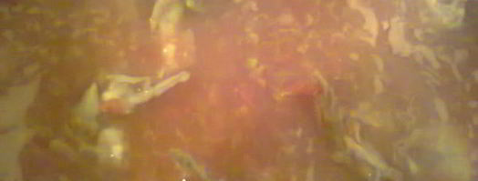 чахохбили классический. Шаг 6