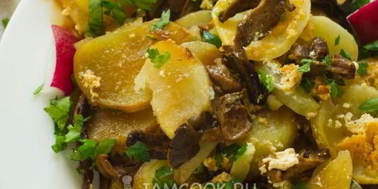 Картошка с грибами в сметане в духовке