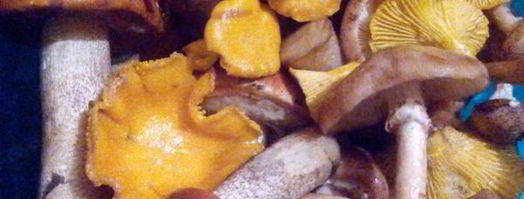 жареная картошечка с лесными грибочками. Шаг 3