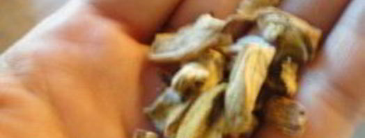 жареная картошка с сушеными грибами. Шаг 7