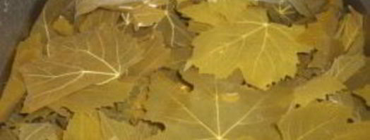 армянская долма. Шаг 3