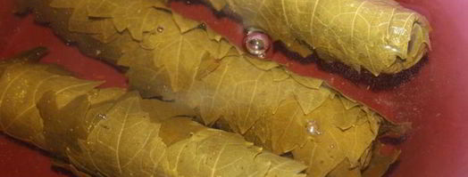 долма из маринованых виноградных листьев с говядиной. Шаг 3