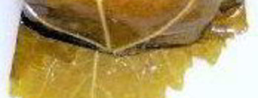 долма с мясной начинкой. Шаг 3