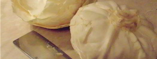 голубцы с гречкой и грибами. Шаг 7