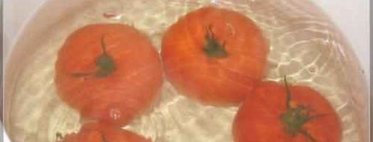 овощные голубцы. Шаг 11