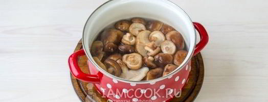 грибы по-корейски. Шаг 6