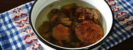 рыжики жареные. Шаг 5