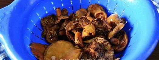 рыжики жареные. Шаг 8