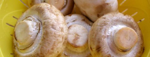 тушеные грибы в мультиварке. Шаг 3