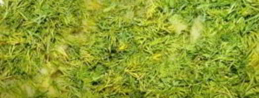 запеченные подберезовики. Шаг 4