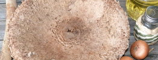 жареные зонтики. Шаг 4