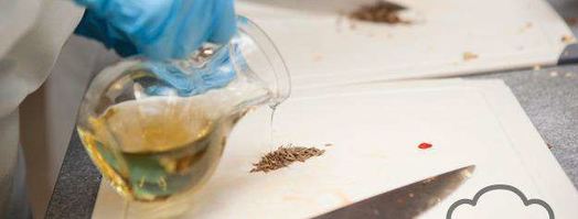 гуляш из говядины. Шаг 5