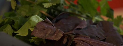 суп-гуляш из говядины. Шаг 5